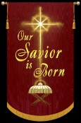 Our Savior is Born - Creche